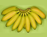 Baby Bananas