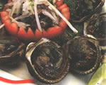 Fresh Black Clams (Meat Only)
