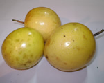 Passion Fruit