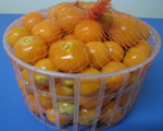 Physalis W/O Leave