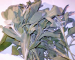 Fresh Sage