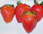 Jumbo Strawberry