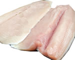 Fresh Trout Filet